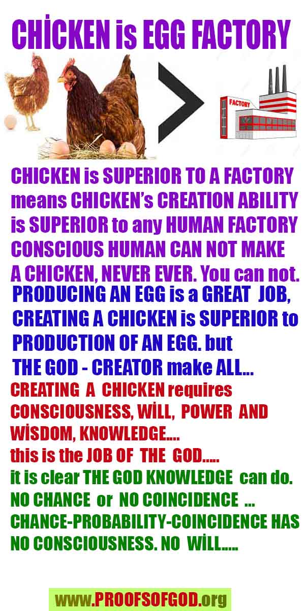 Proofs and Evidences of God, God exists proofs, God is real proofs and evidences, Proofs of God's existance