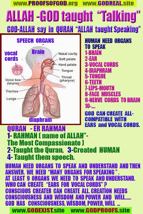 Proofs and Evidences of God, God exists proofs, God is real proofs and evidences, Proofs of God's existance