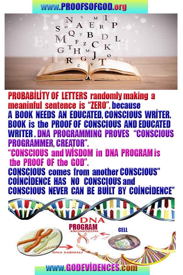Proofs and Evidences of God, God exists proofs, God is real proofs and evidences, Proofs of God's existance