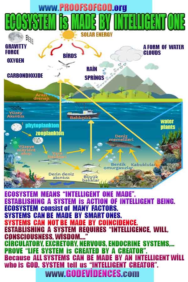 Proofs and Evidences of God, God exists proofs, God is real proofs and evidences, Proofs of God's existance