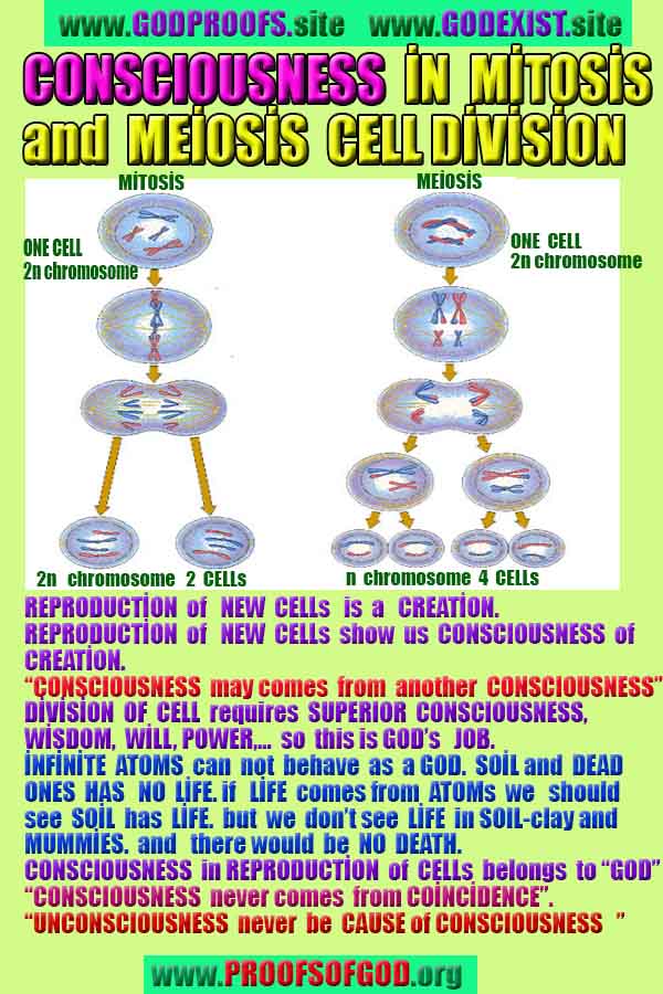 Proofs and Evidences of God, God exists proofs, God is real proofs and evidences, Proofs of God's existance
