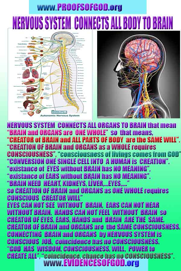Proofs and Evidences of God, God exists proofs, God is real proofs and evidences, Proofs of God's existance