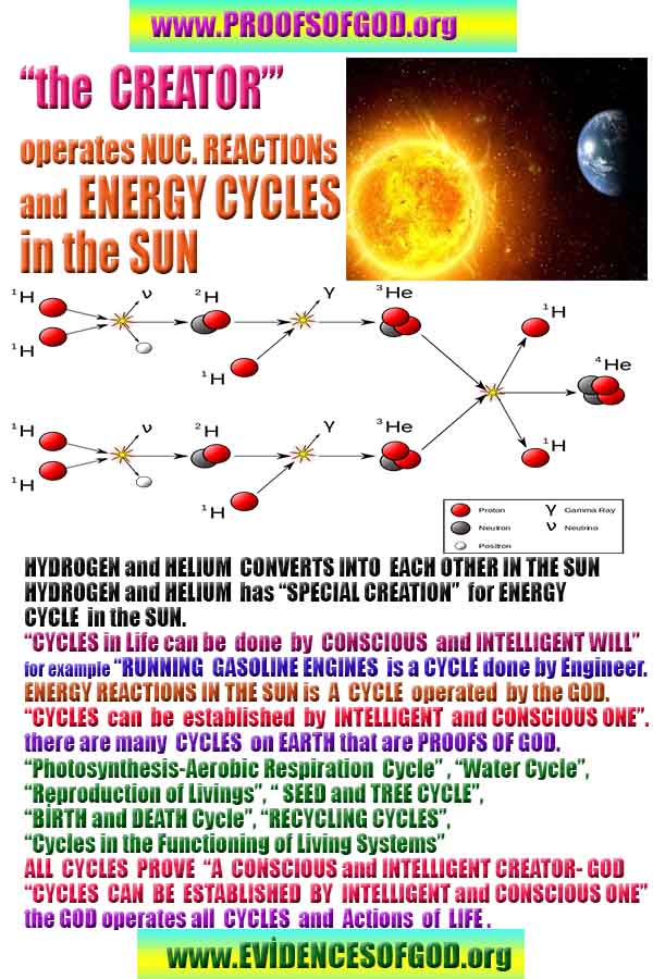 Proofs and Evidences of God, God exists proofs, God is real proofs and evidences, Proofs of God's existance