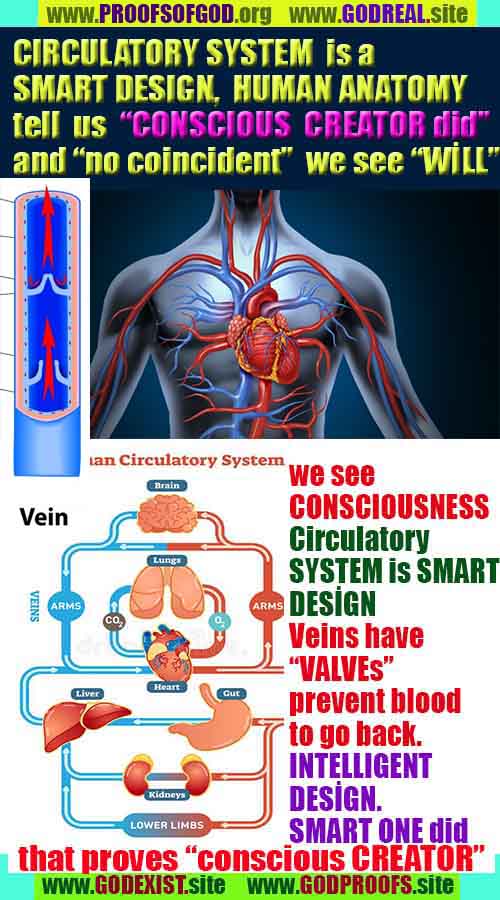 Proofs and Evidences of God, God exists proofs, God is real proofs and evidences, Proofs of God's existance
