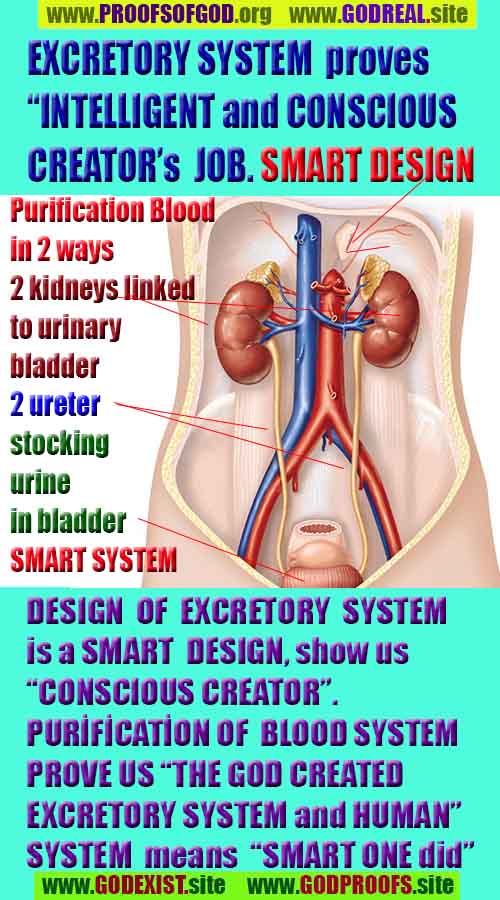 Proofs and Evidences of God, God exists proofs, God is real proofs and evidences, Proofs of God's existance